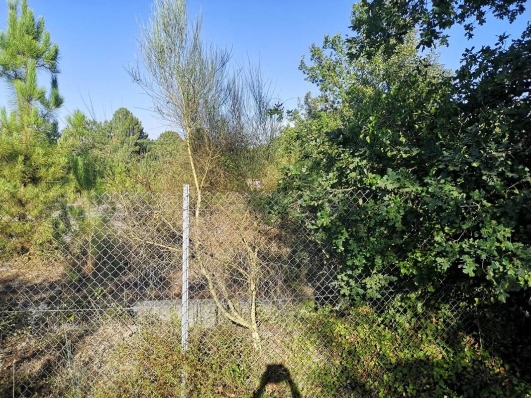 Terreno en venta en Pereiro de Aguiar, Ourense photo 3