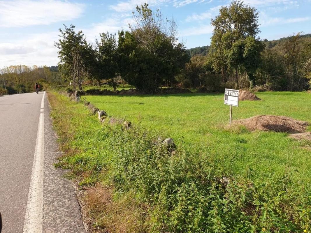 Terreno en venta en Pereiro de Aguiar, Ourense photo 3