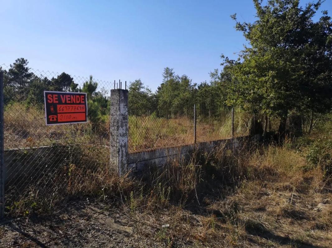 Terreno en venta en Pereiro de Aguiar, Ourense photo 5