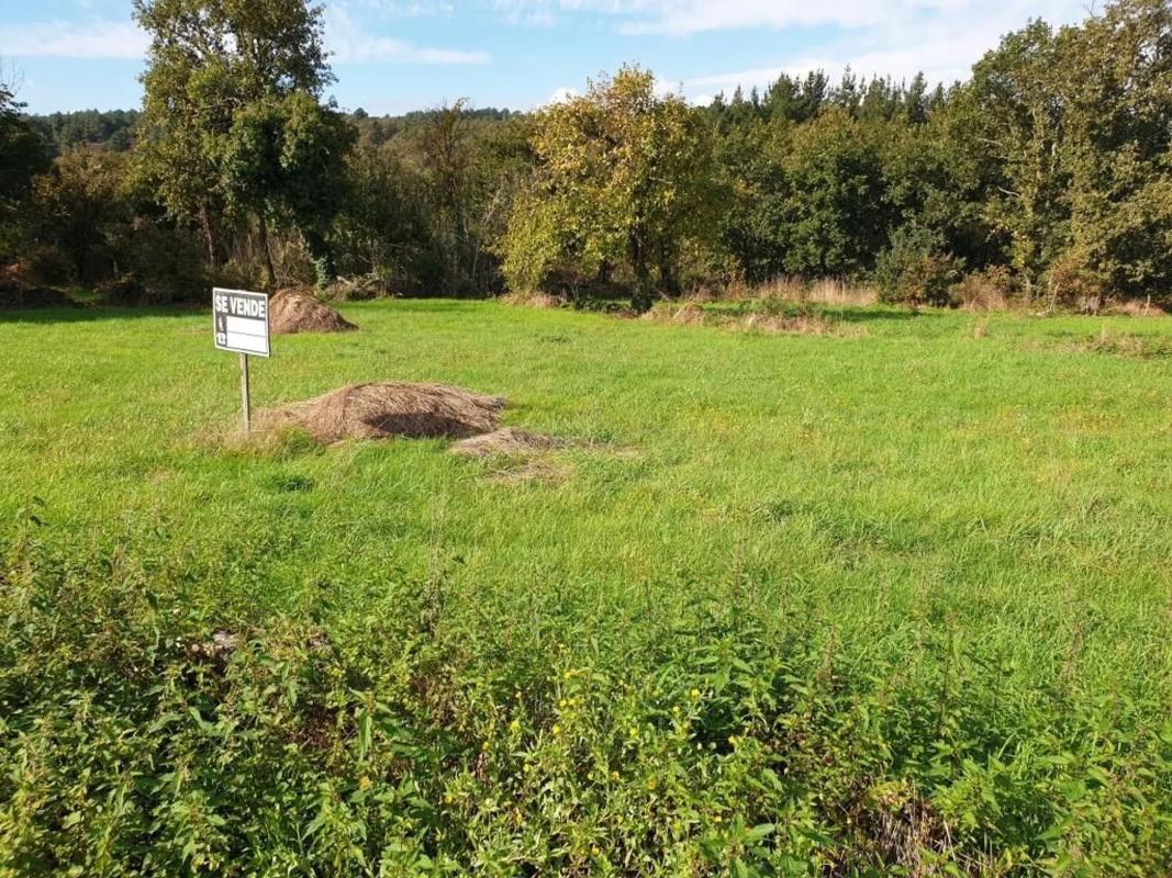 Terreno en venta en Pereiro de Aguiar, Ourense photo 4