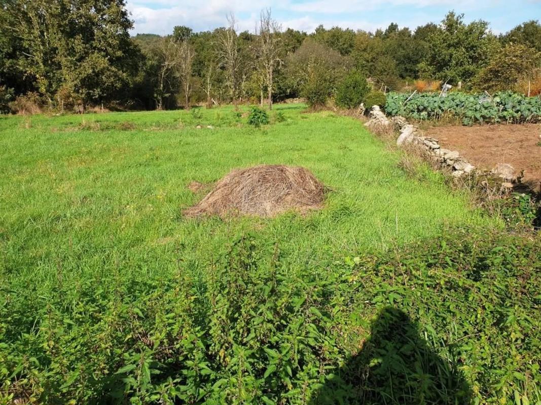 Terreno en venta en Pereiro de Aguiar, Ourense photo 5