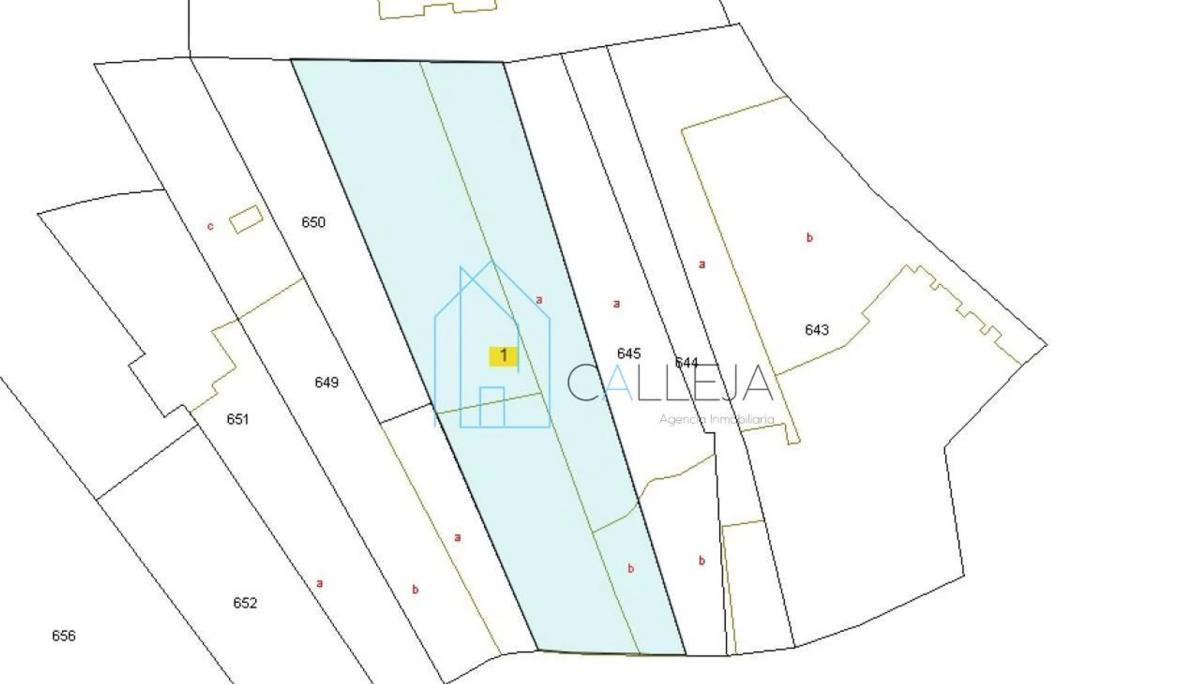 Terreno en venta en San Cibrao das Viñas, Ourense photo 1