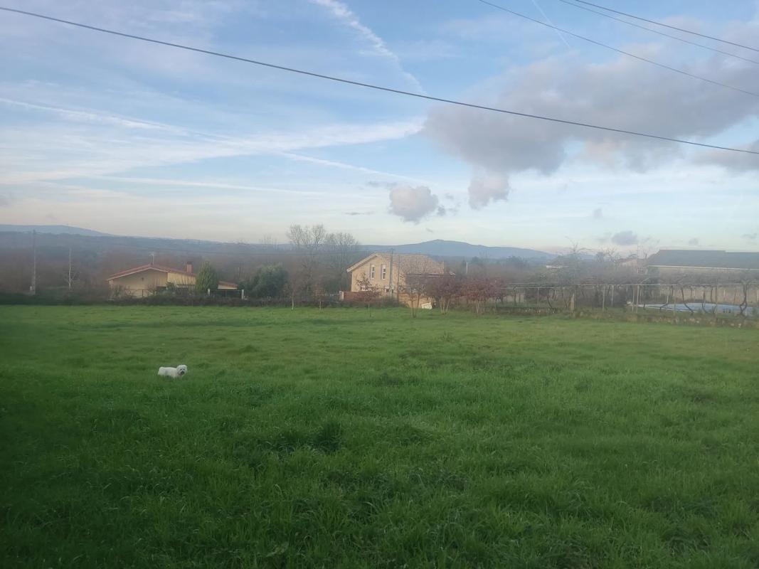 Terreno en venta en Amoeiro, Ourense photo 2