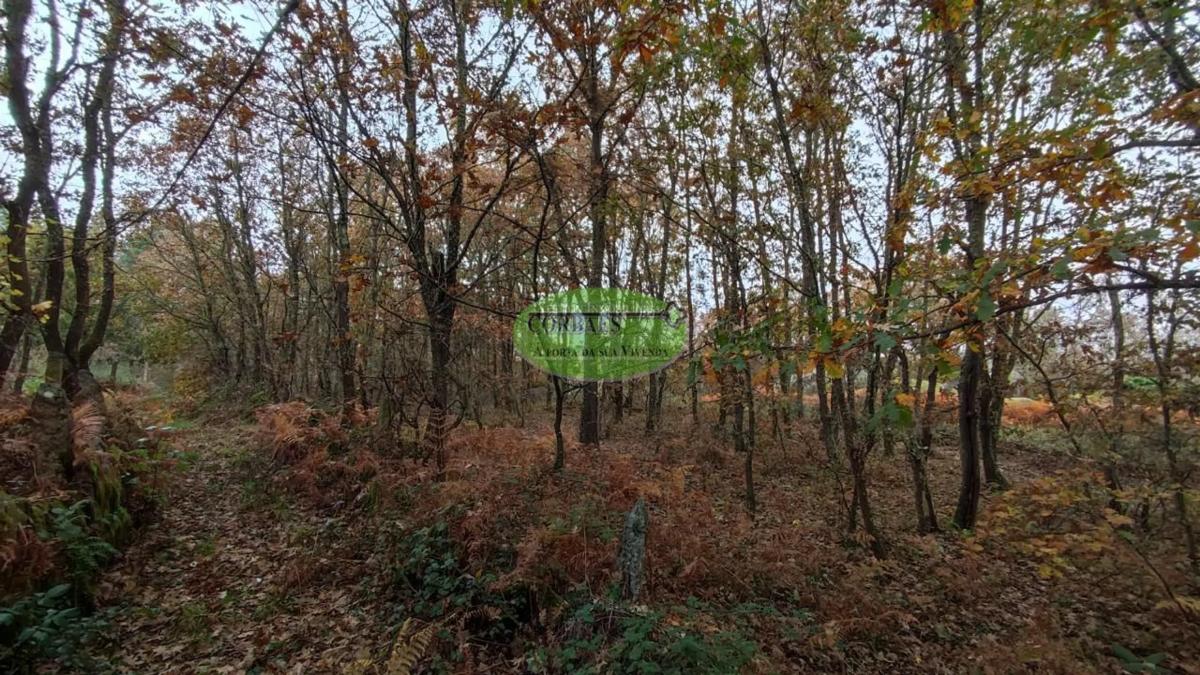 Terreno en venta en Taboadela, Ourense photo 1