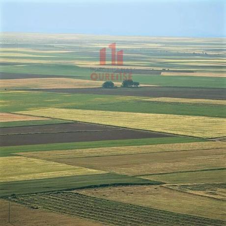 Terreno en Coles photo 2