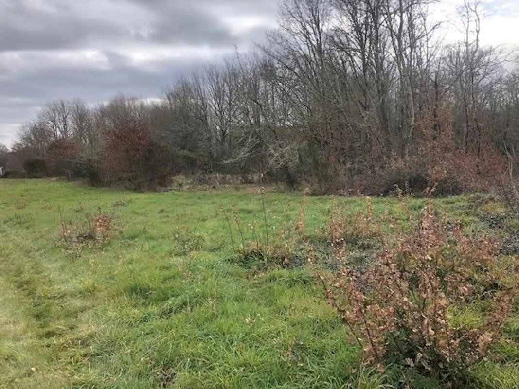Terreno en venta en Amoeiro, Ourense photo 1