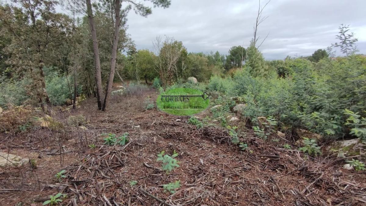 Terreno en venta en Toén, Ourense photo 3