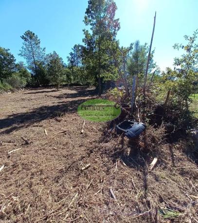 Terreno en Toén photo 3