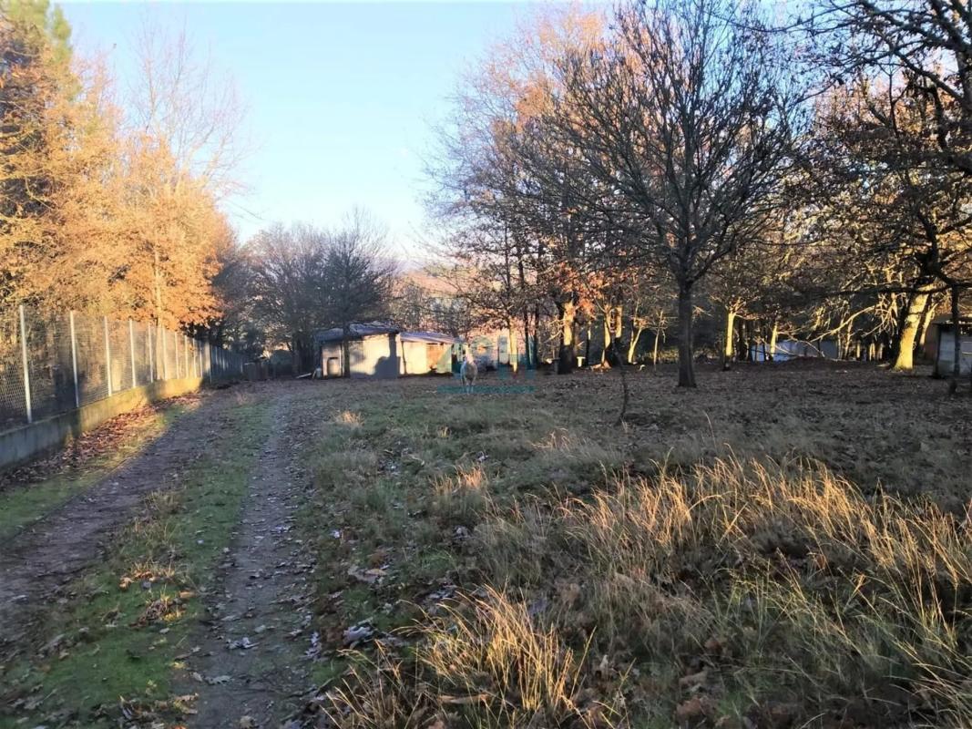 Land for sale in San Cibrao das Viñas, Ourense photo 1