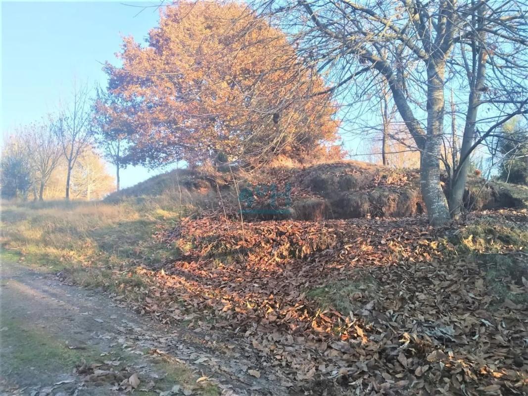 Land for sale in San Cibrao das Viñas, Ourense photo 3