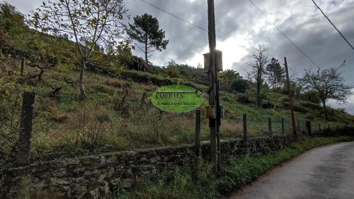 Land for sale in Ourense, Ourense photo 1