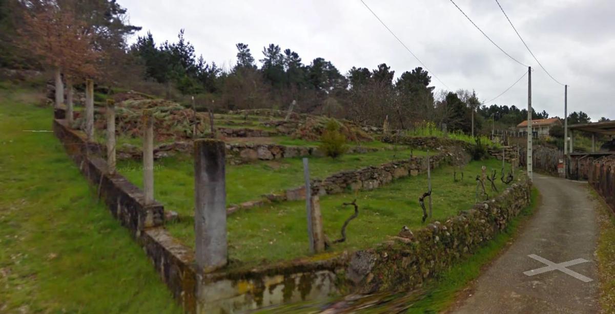 Terreno en venta en Toén, Ourense photo 3