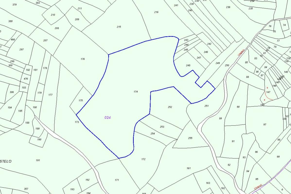 Terreno en venta en Nogueira de Ramuin, Ourense photo 1