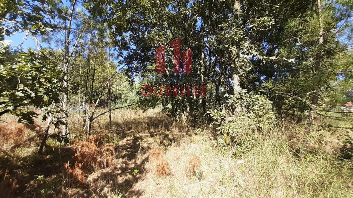 Terreno en venta en Toén, Ourense photo 3