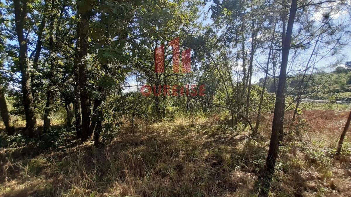 Terreno en venta en Toén, Ourense photo 4