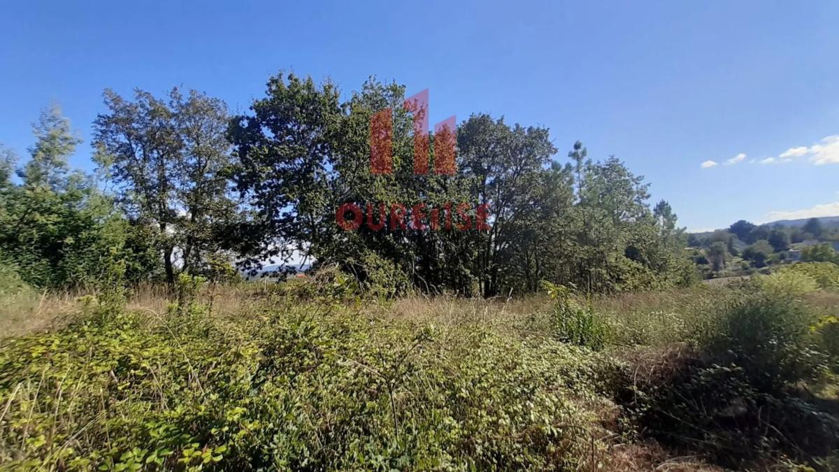 Terreno en venta en Toén, Ourense photo 5