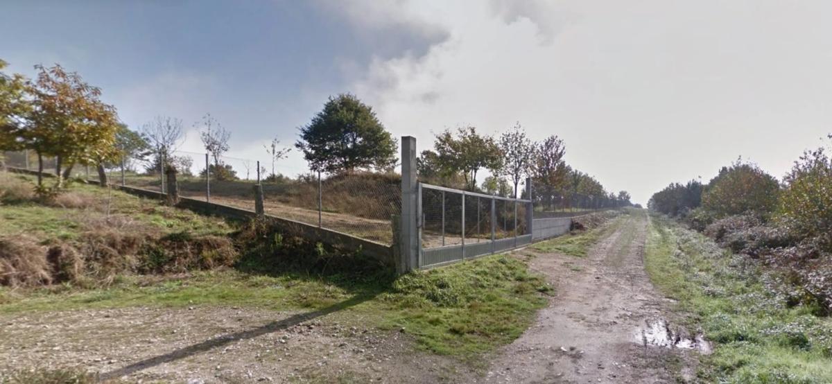 Land for sale in San Cibrao das Viñas, Ourense photo 4