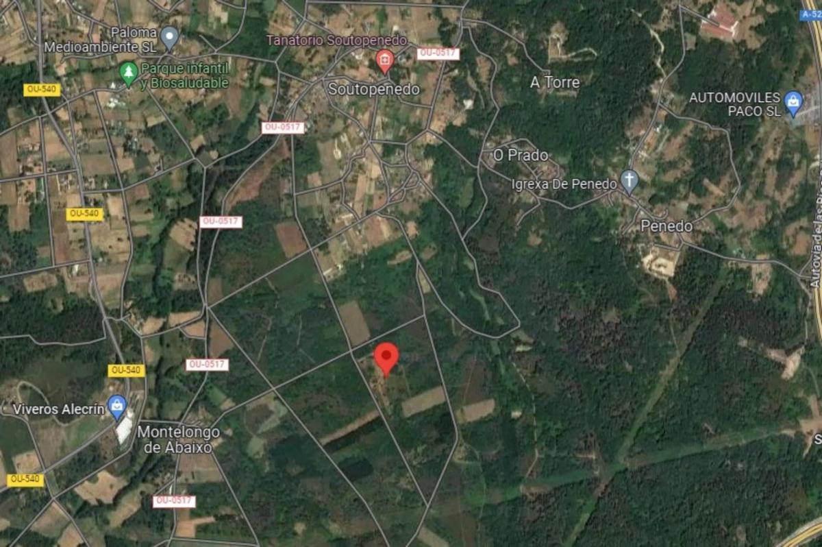 Land for sale in San Cibrao das Viñas, Ourense photo 5