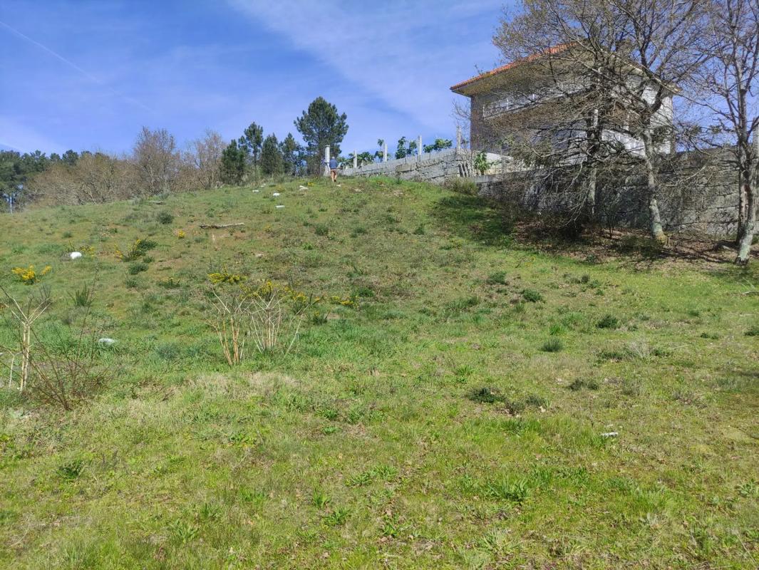 Terreno en venta en A Peroxa, Ourense photo 4