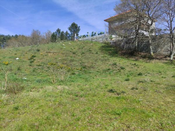 Terreno en Subida Centro Salud, 10 photo 4