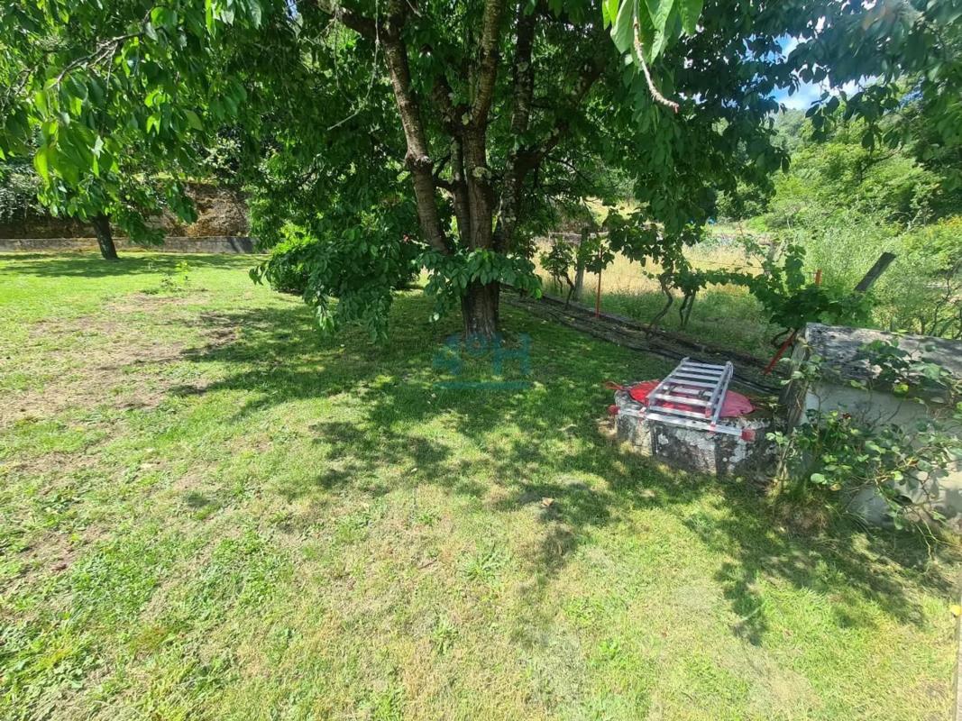 Terreno en venta en Barbadas, Ourense photo 3