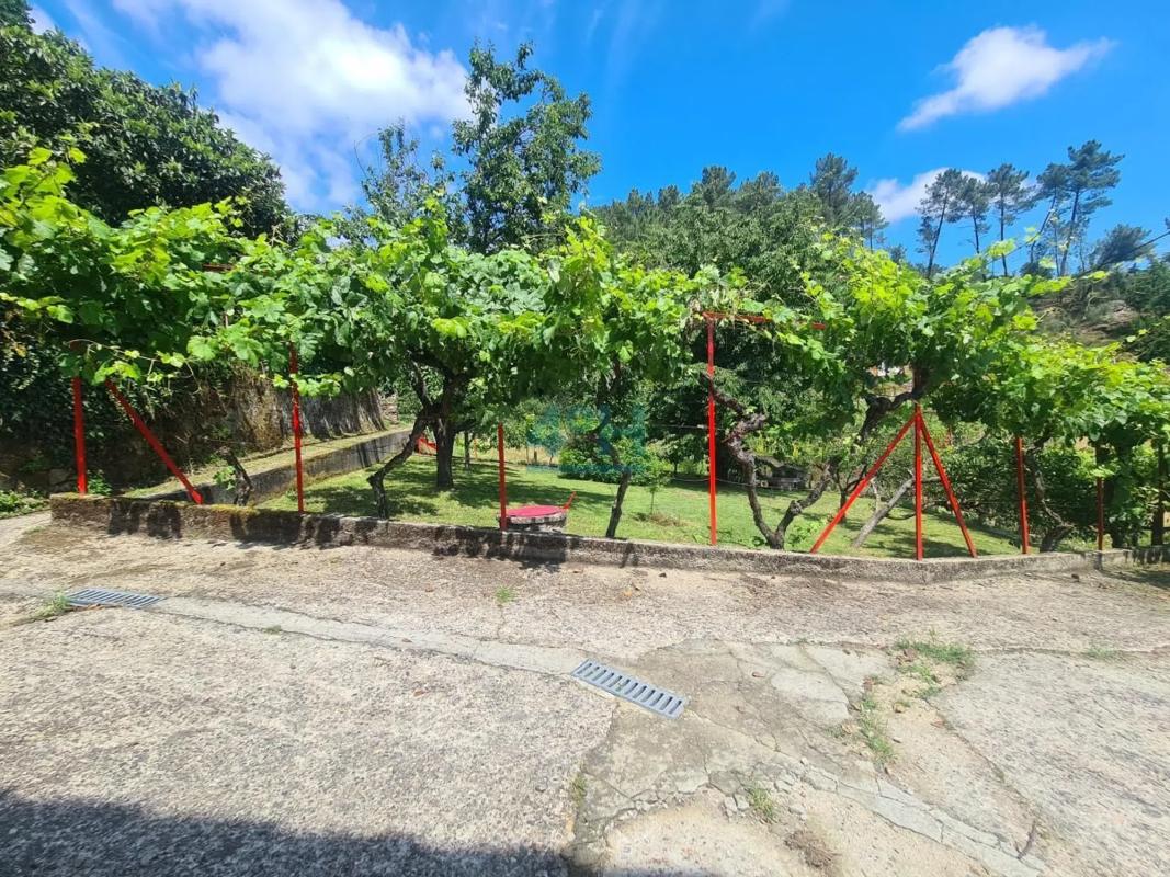 Terreno en venta en Barbadas, Ourense photo 5