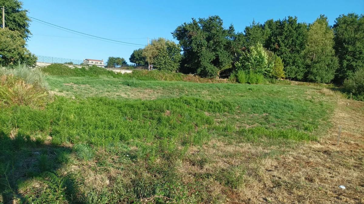 Terreno en venta en A Peroxa, Ourense photo 4