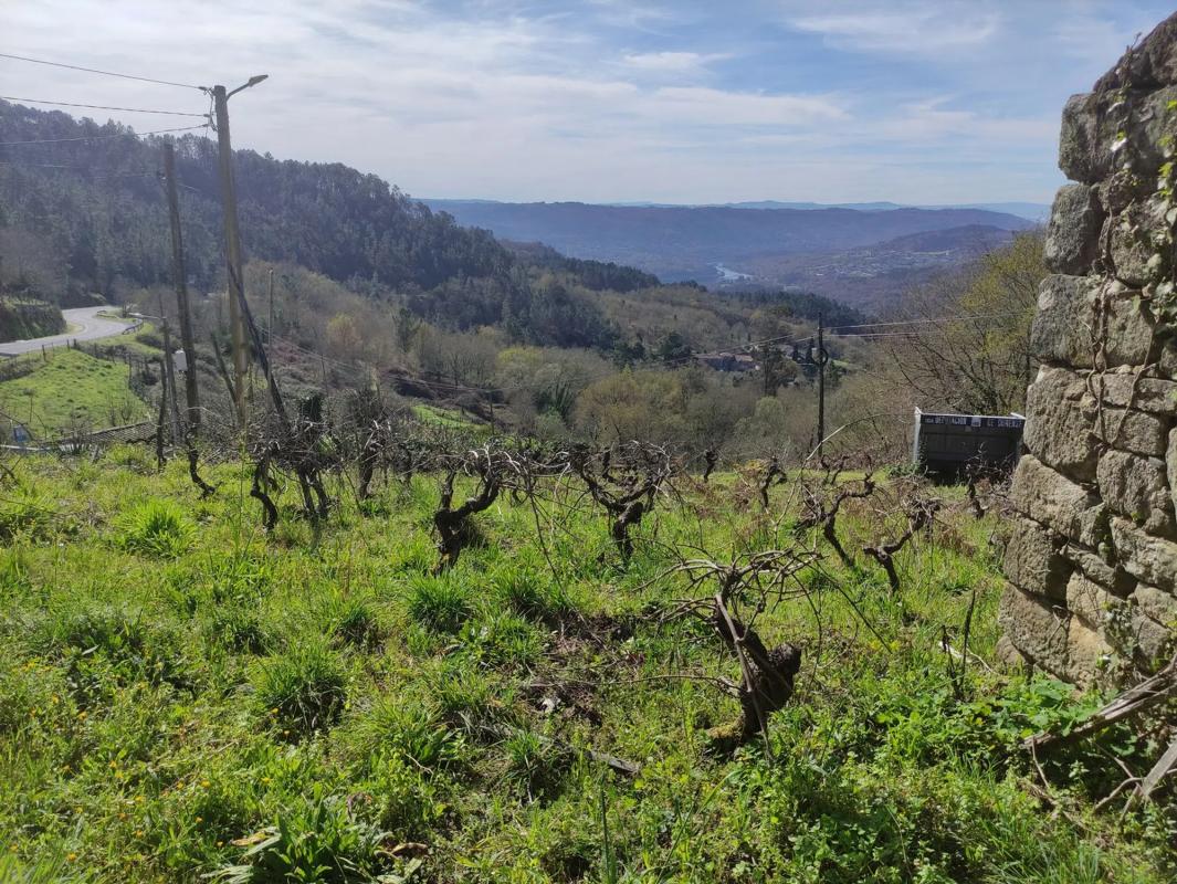 Terreno en venta en A Peroxa, Ourense photo 2