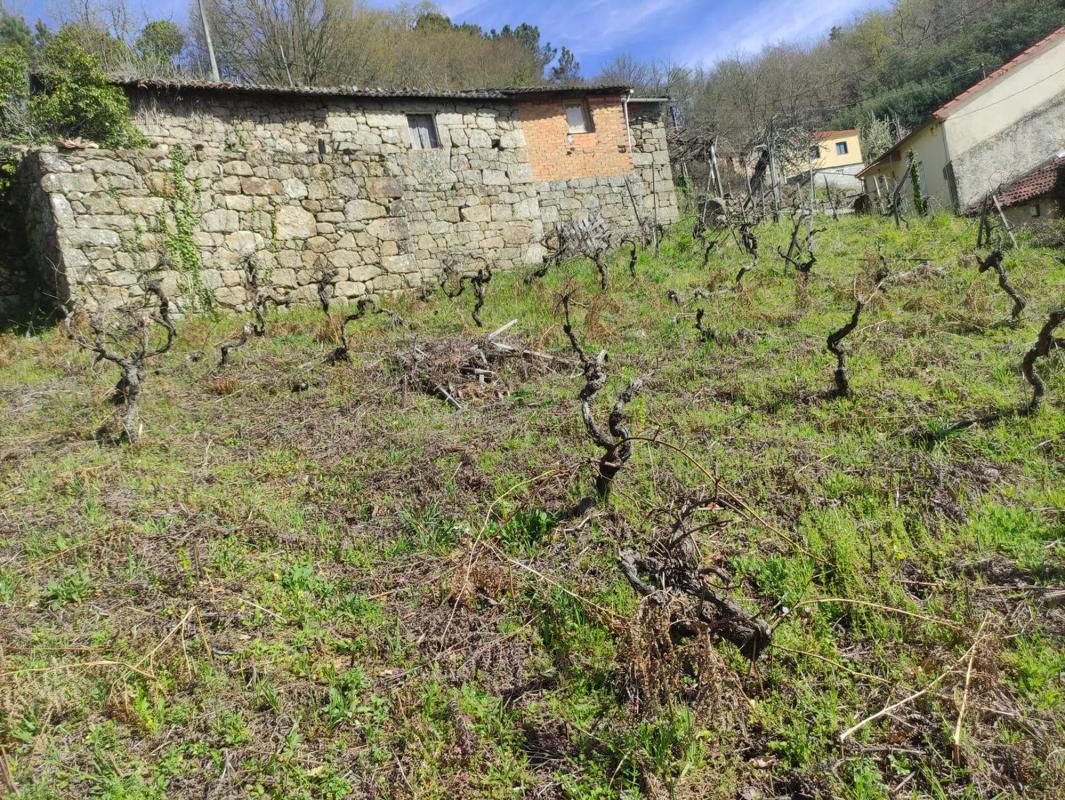 Terreno en venta en A Peroxa, Ourense photo 3