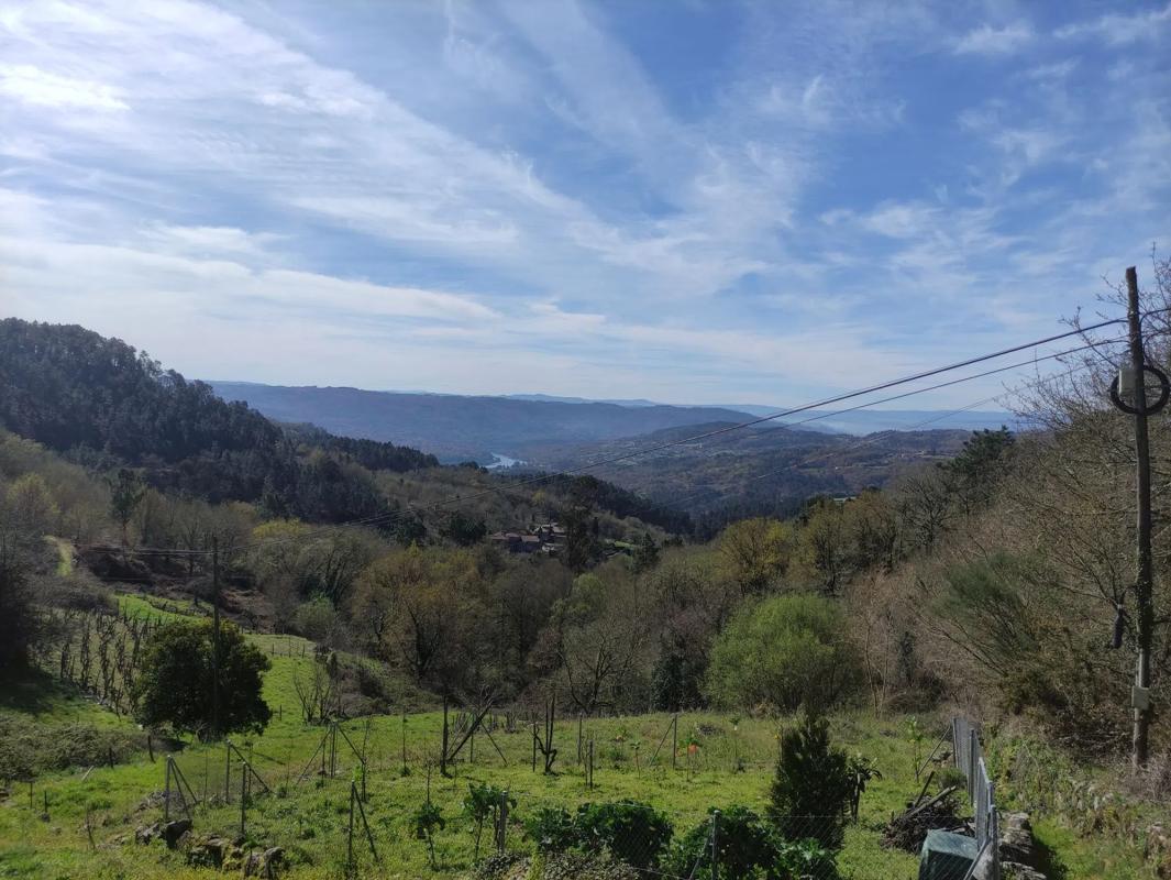 Terreno en venta en A Peroxa, Ourense photo 5