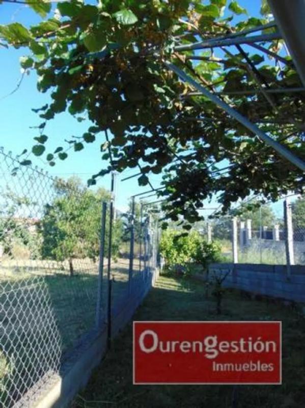Terreno en venta en San Cibrao das Viñas, Ourense photo 5