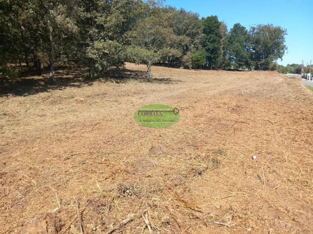 Terreno en venta en Barbadas, Ourense photo 5