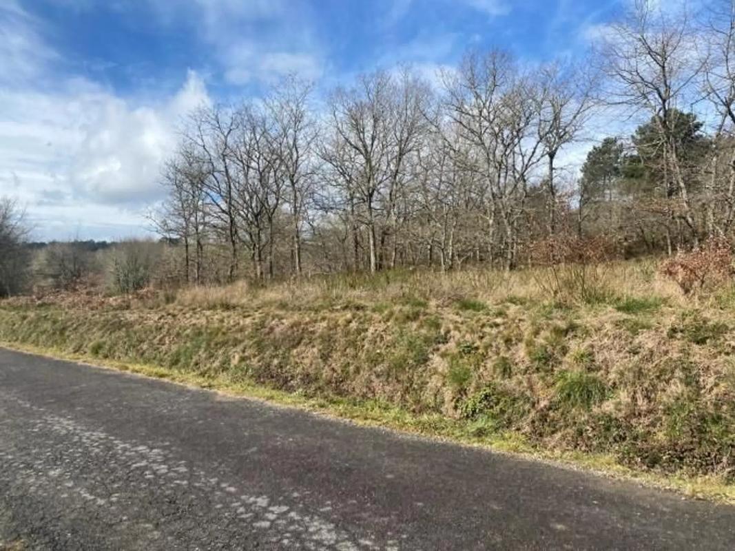 Land for sale in Barbados, Ourense photo 2