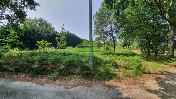 Terreno en Coles photo 2
