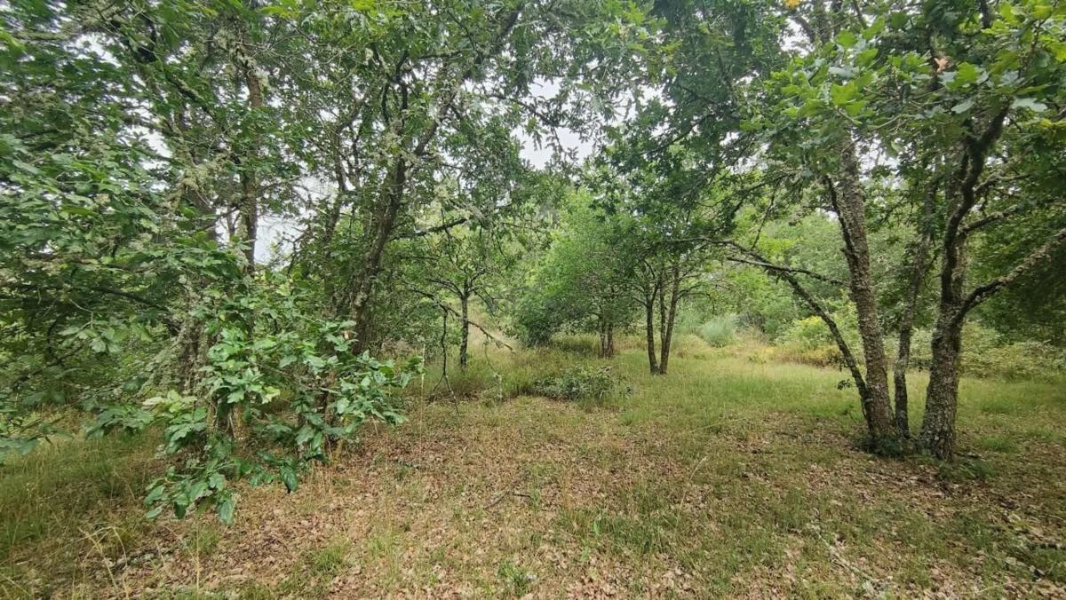 Terreno en venta en San Cibrao das Viñas, Ourense photo 1