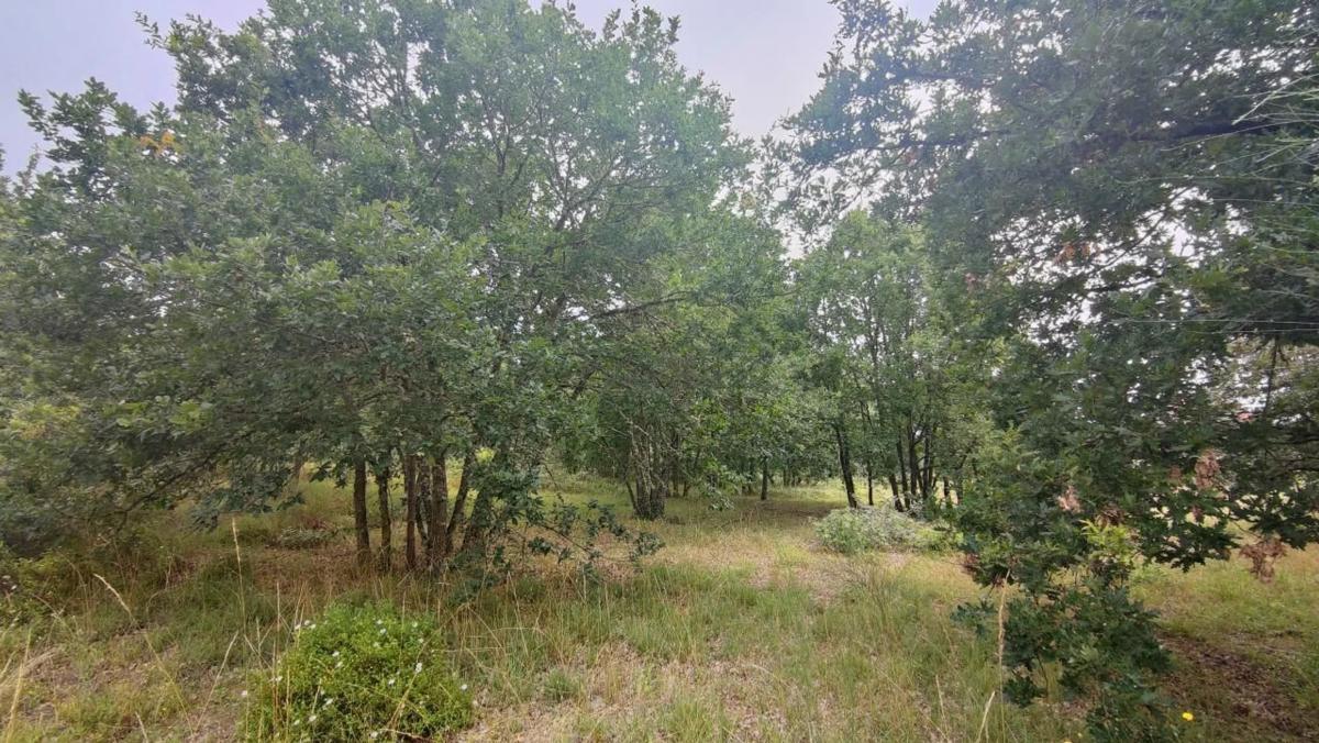 Terreno en venta en San Cibrao das Viñas, Ourense photo 2