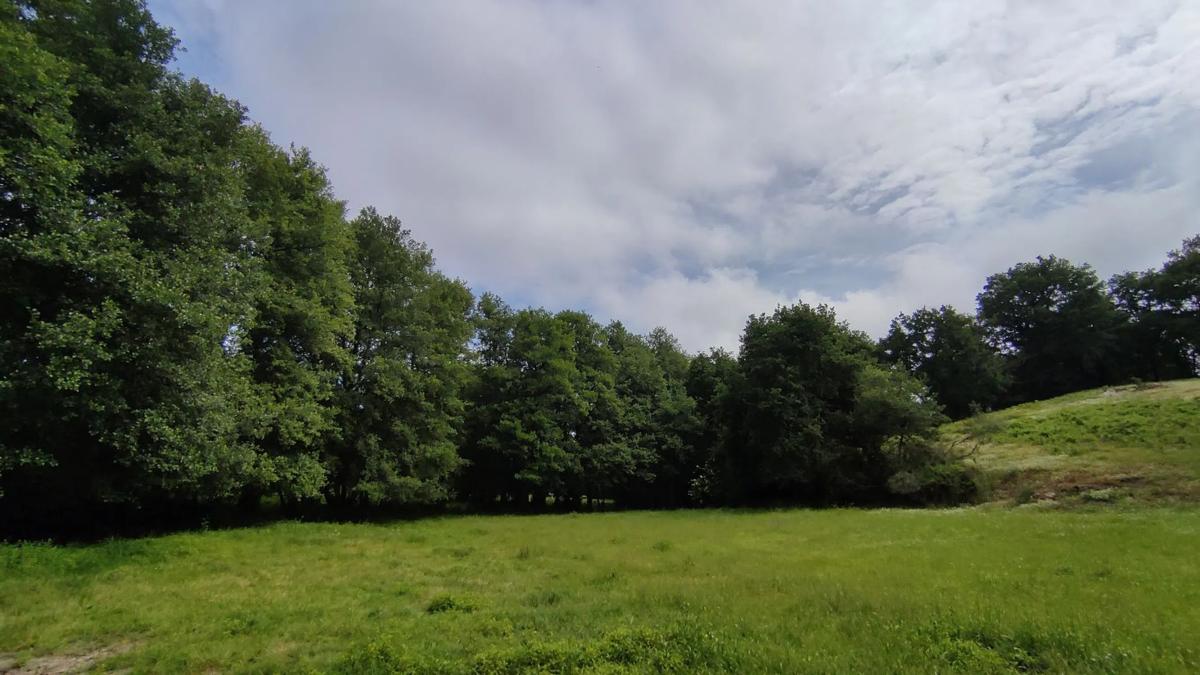 Terreno en venta en A Peroxa, Ourense photo 5