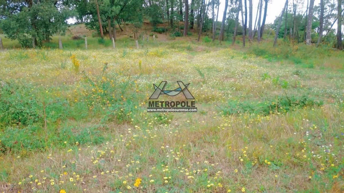 Terreno en venta en Barbadas, Ourense photo 1