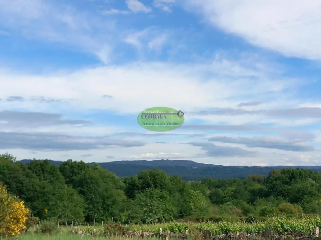 Участок земли на продажу в Перейру де Агурьар, Оренсе photo 1