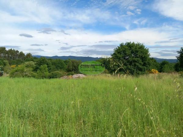 Terreno en Pereiro de Aguiar thumbnail 1