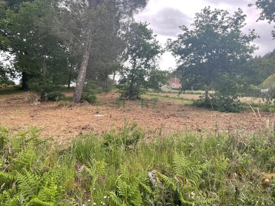 Terreno en venta en Vilamarin, Ourense photo 2
