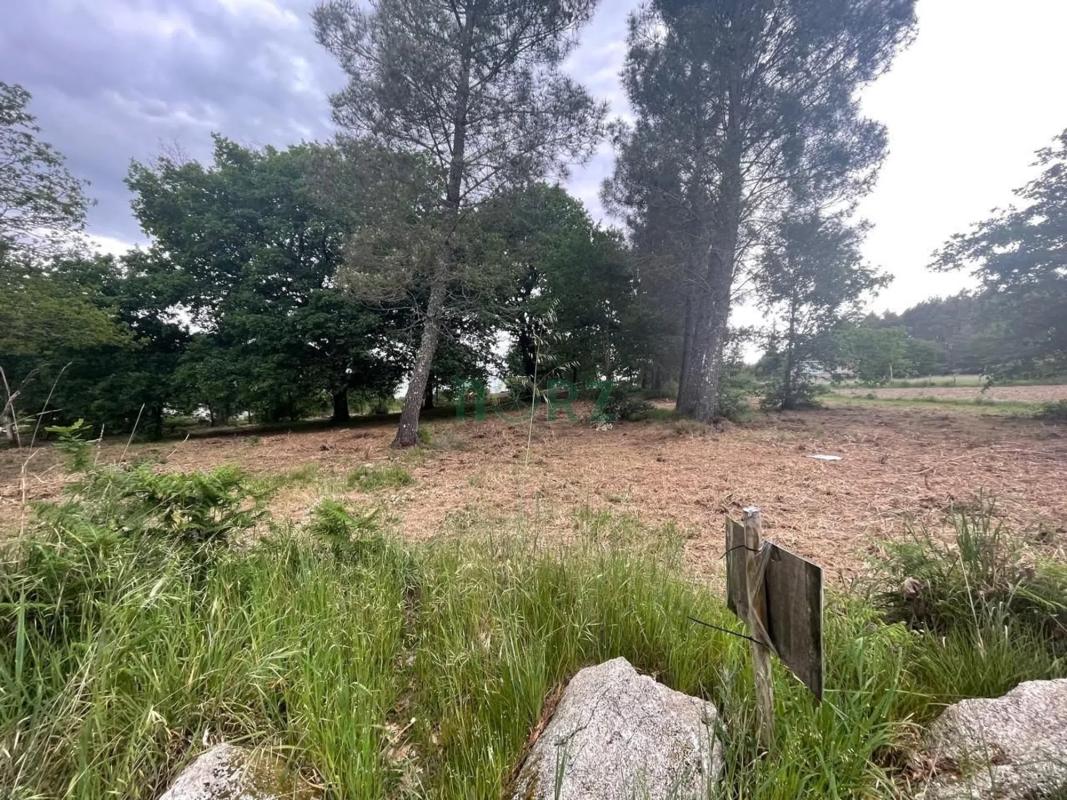 Terreno en venta en Vilamarin, Ourense photo 3