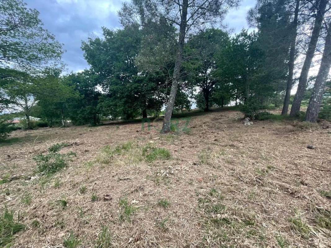 Terreno en venta en Vilamarin, Ourense photo 5