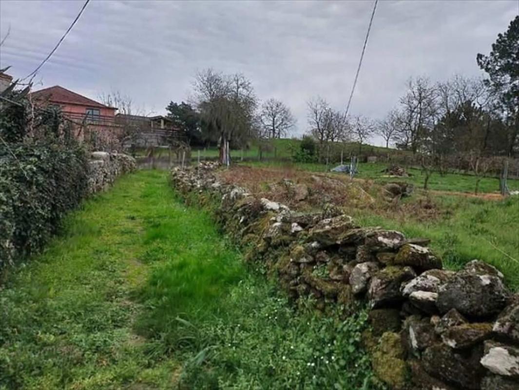 Terreno en venta en Amoeiro, Ourense photo 3