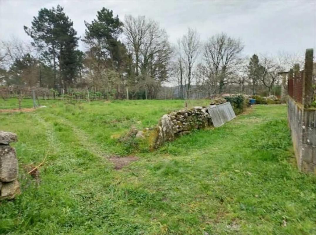 Terreno en venta en Amoeiro, Ourense photo 5
