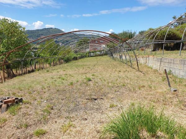 Terreno en calle Santa Ana photo 1