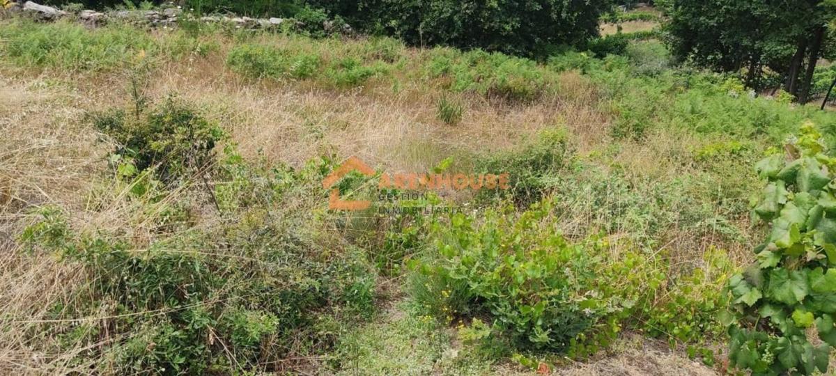 Terreno en venta en Toén, Ourense photo 1