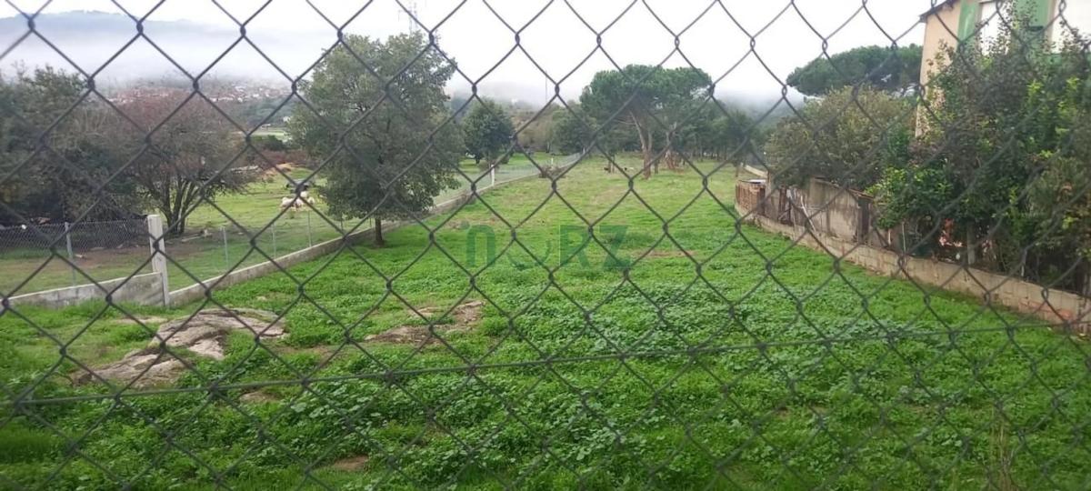 Land for sale in San Cibrao das Viñas, Ourense photo 1
