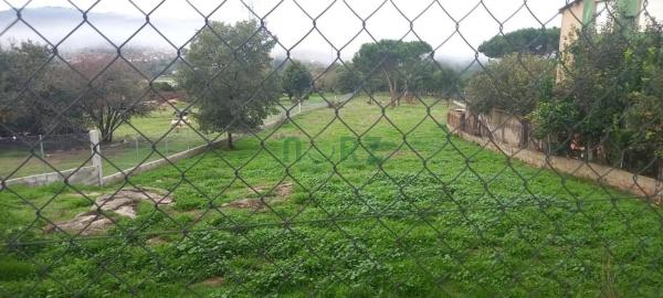 Terreno en San Cibrao das Viñas photo 1