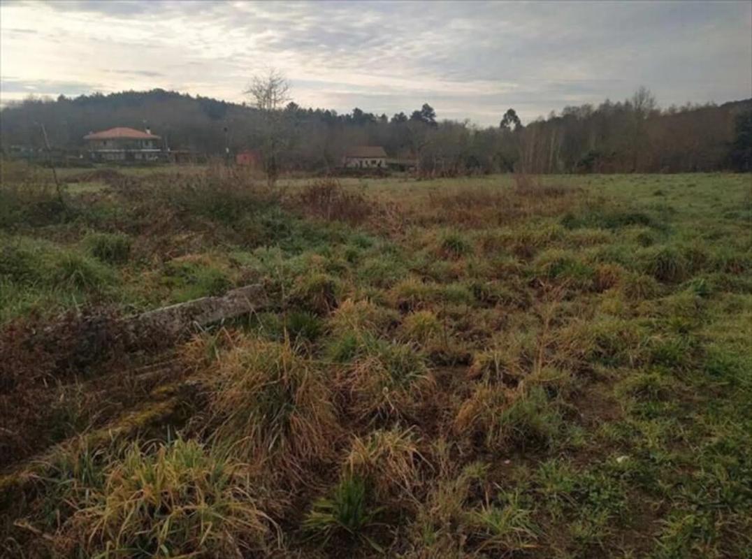 Terreno en venta en A Peroxa, Ourense photo 3